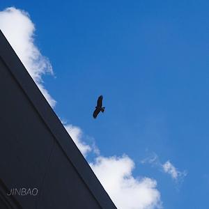 海鸣馆80部熊片ed2k微博
