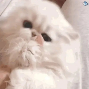 海鸣馆80部熊片ed2k微博
