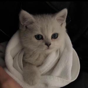 海鸣馆80部熊片ed2k微博
